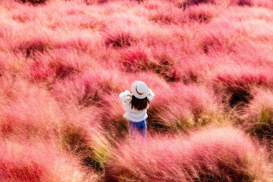 Echte Complimenten Herkennen in Anonieme Chats