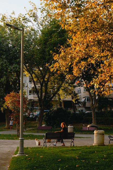 Video-ijsbrekers voor virtuele teams een checklist voor succesvolle samenwerking